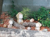 筑後市立古川小学校の　　　　　楽しい花壇