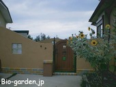3色のガラスブロックが特徴　　　　　　　　　【広川町　Ｈ邸】　
