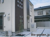 玉砂利ラインで　　　　　　　　　　　　　　スタンダードに