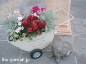 犬の花屋さん 犬の花屋さん