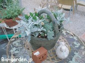 花籠 花籠