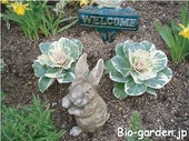 Ｗｅｌｃｏｍｅ　ｇａｒｄｅｎ　　　　　　　　【大牟田市　Ⅰ邸】