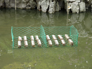 2009-09-10_0340.jpg