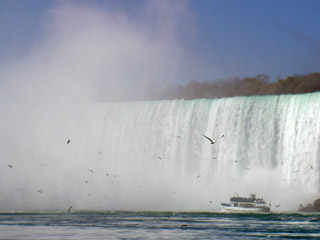fall03.jpg
