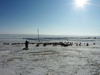 winter11.jpg