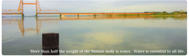 More than half the weight of the human body is water.  Water is essential to all life.